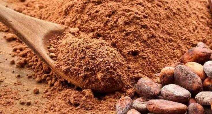 Какое какао лучше: рейтинг лучших какао-порошков 2020 года для любителей напитков со вкусом шоколада