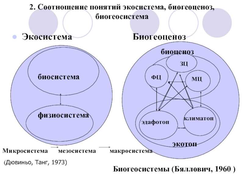 Составить схему биогеоценоза