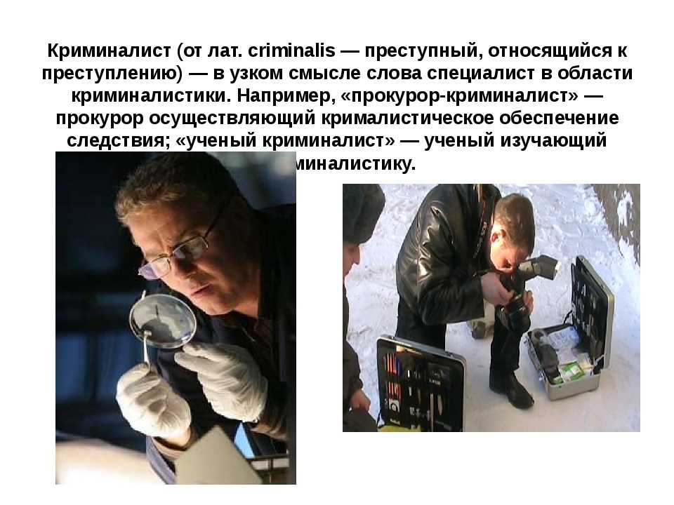 Профессия криминалист: описание, образование, особенности и перспективы :: businessman.ru
