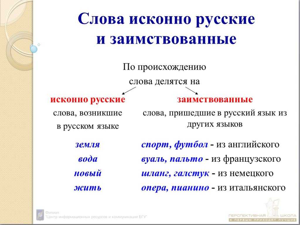 Заимствованные слова в русском языке проект