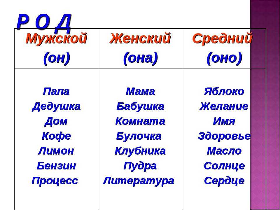 Средний род существительных в русском языке » kupuk.net
