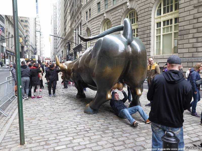 Кто такие быки и медведи на фондовой бирже | финтолк