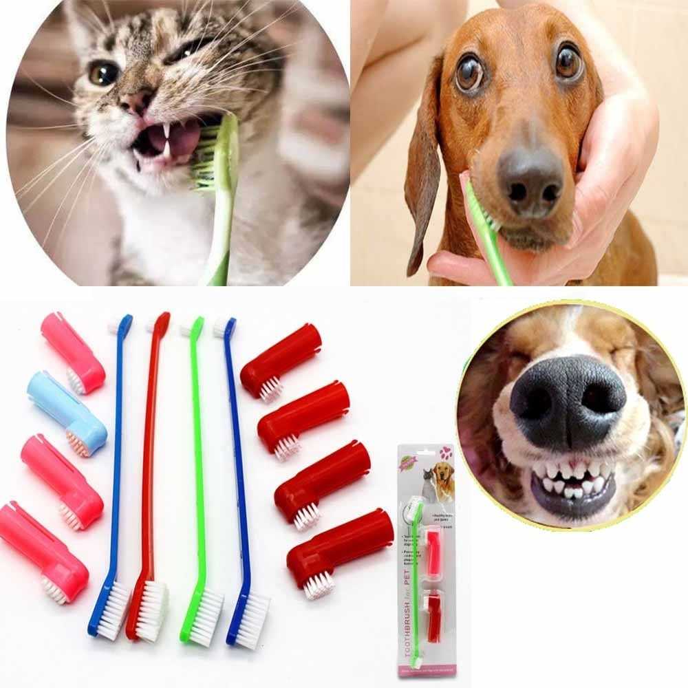 Как правильно чистить зубы собаке в домашних условиях | petguru