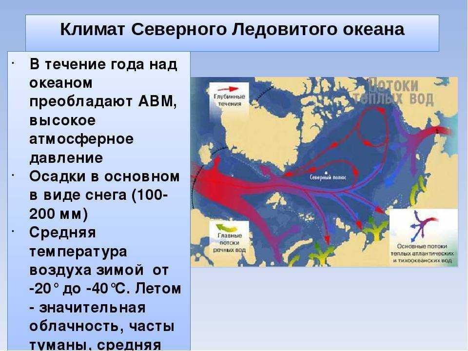 Направление течения и давление воды рыбы. Климат Северного Ледовитого океана. Течения Северного Ледовитого океана. Климат и течение северно Ледовитого океана. Климат морей Северного Ледовитого океана.