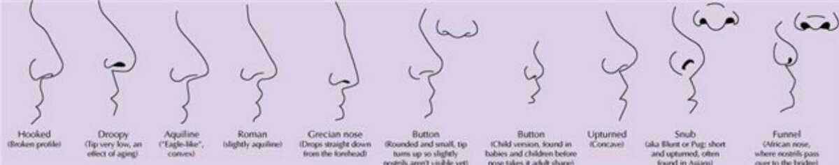 О чем может рассказать форма носа у мужчины