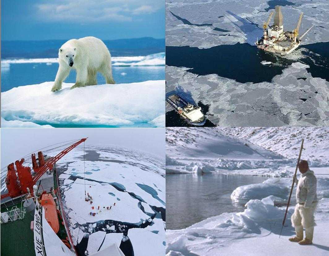 Арктические пустыни изменение природы человеком. Люди в Арктике. Арктические пустыни и человек. Труд людей в Арктике. Арктическая пустыня и человек.