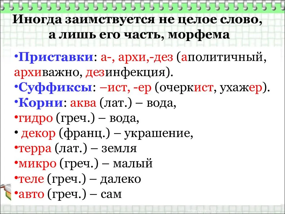 Проект по теме заимствованные слова в русском языке 9 класс