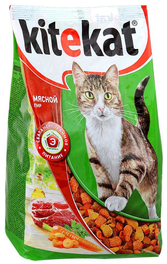 Купить пакетик корма для кошки. Китекат сухой корм для кошек. Кити Кэт корм. Корм для кошек Китекат сухой 600г. Китикет корм для кошек пакетики.