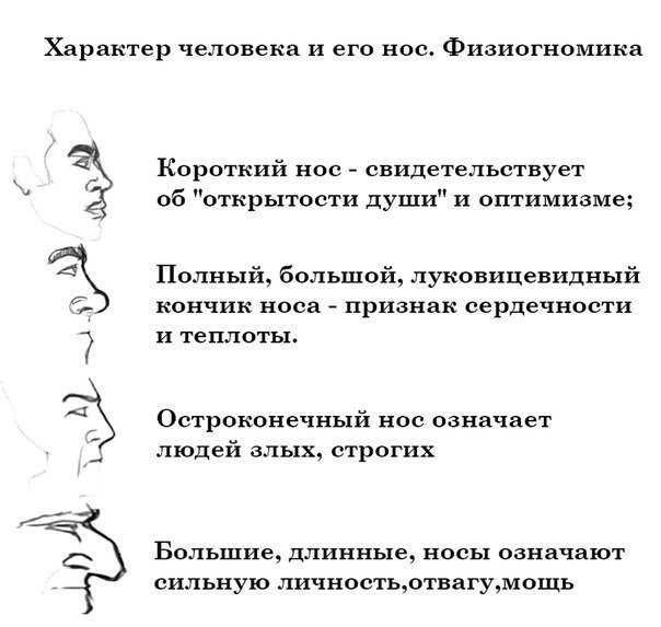 Характер мужчины по форме носа. описание 16 типов мужских носов