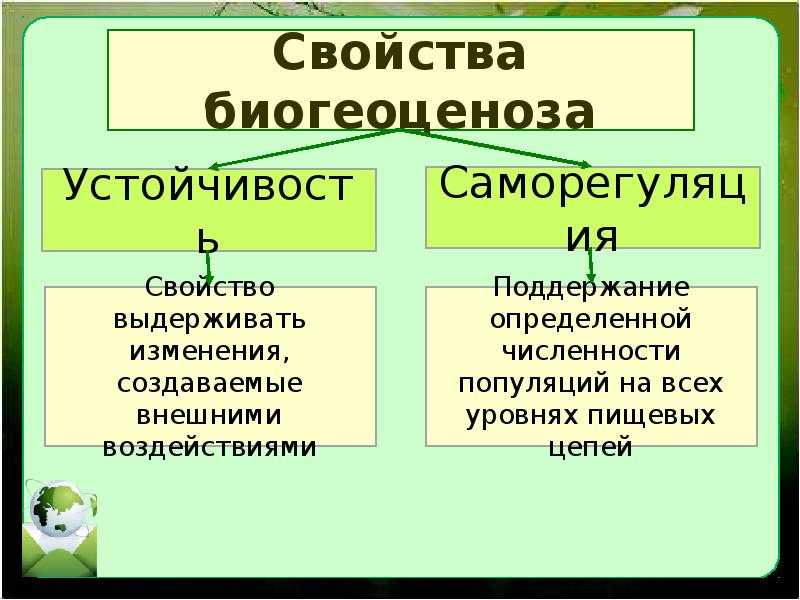 Составить схему биогеоценоза