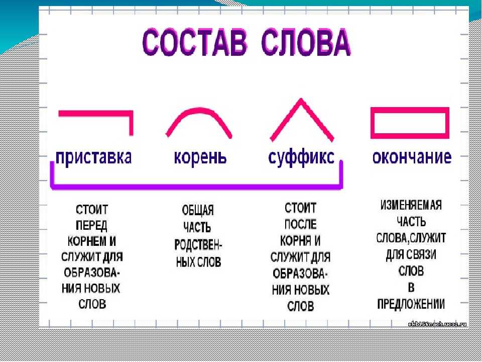 Суффиксы - значения, правописание и примеры в русском языке