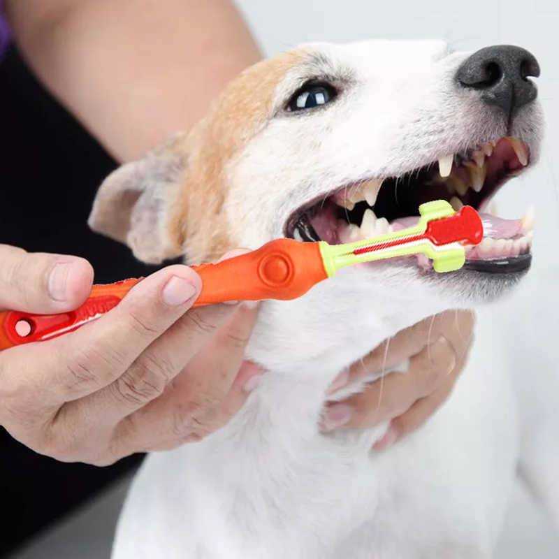 Как почистить зубы собаке в домашних условиях
как почистить зубы собаке в домашних условиях