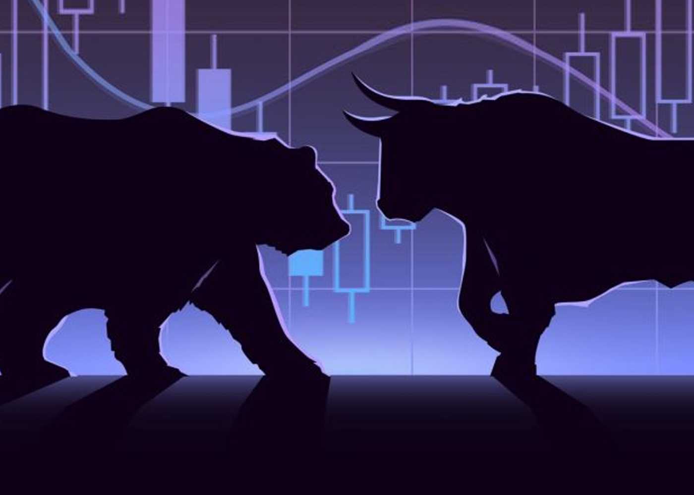 Медведи и быки на бирже: фондовый рынок включает и других животных, которые играют в трейдинг или работают профессионально
