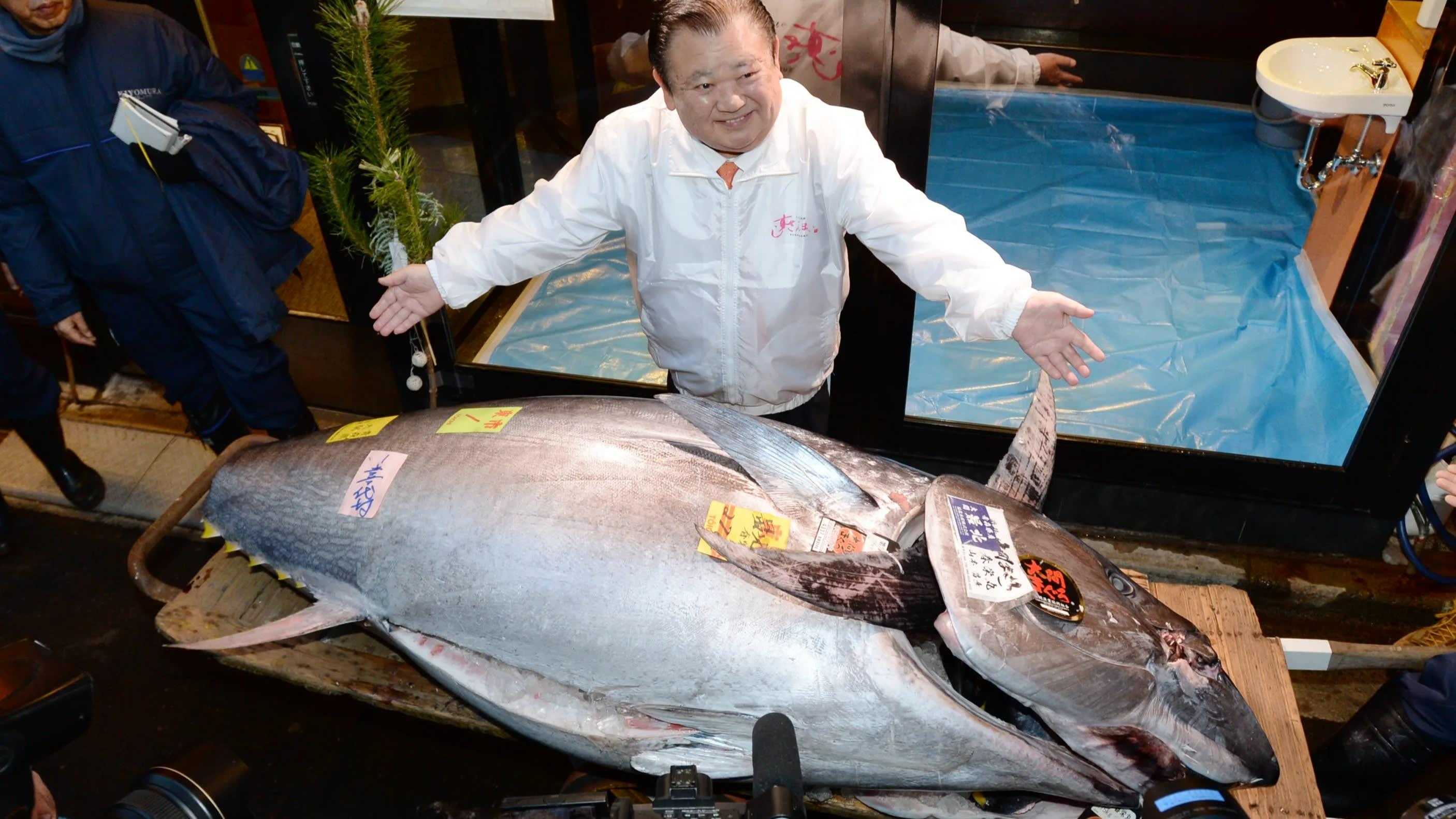 Мясо дорогих рыб. Япония рыбный рынок тунец. Самый дорогой тунец проданный на аукционе в Японии.