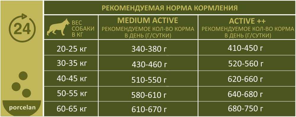 Рейтинг лучших кормов для собак мелких пород по составу и качеству