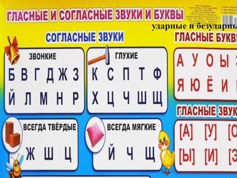 Звуки и буквы русского языка — правила фонетического разбора