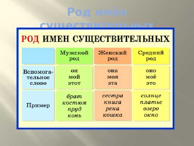 Род имён существительных в русском языке