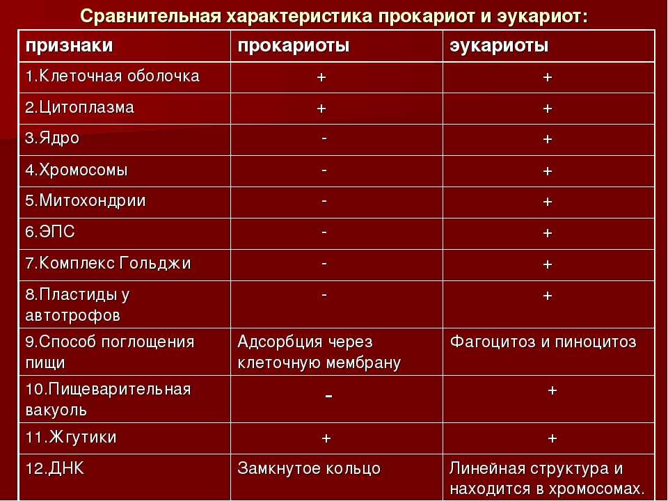 Отличия эукариот. Сравнение клеток прокариот и эукариот таблица. Признаки прокариоты и эукариоты таблица. Признаки сравнения прокариот и эукариот таблица. Сравнить прокариоты и эукариоты.