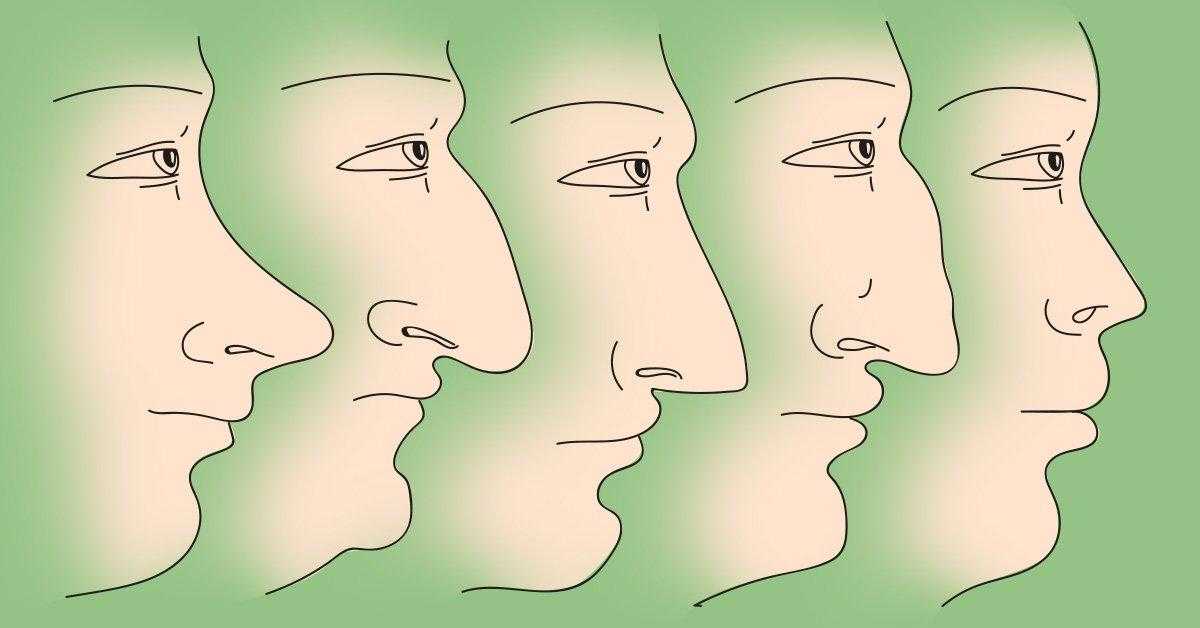 Римский и греческий нос у мужчин и женщин: вид, описание харатера