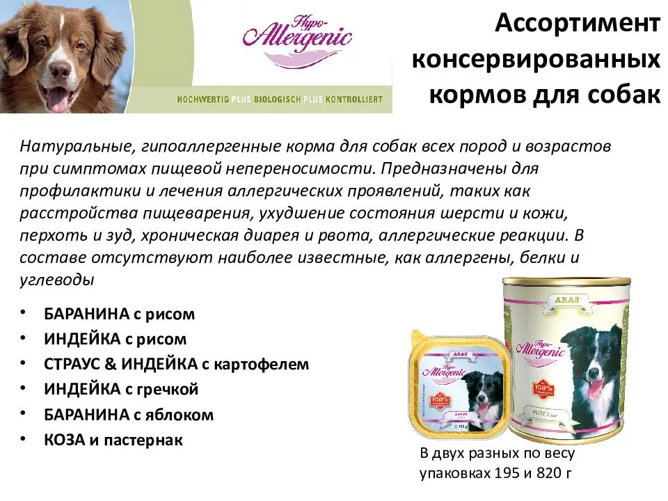 Как выбрать корм для собаки в зависимости от возраста, веса, породы и здоровья
 | 7hands