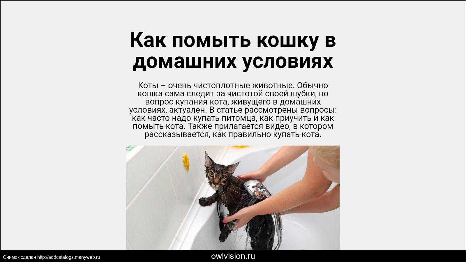 Рассказываю о том, как помыть кошку, чтобы животное получило меньше стресса, а ваши руки остались целыми Поделюсь в статье собственным опытом, приведу несколько полезных лайфаков и действенных рекомендаций