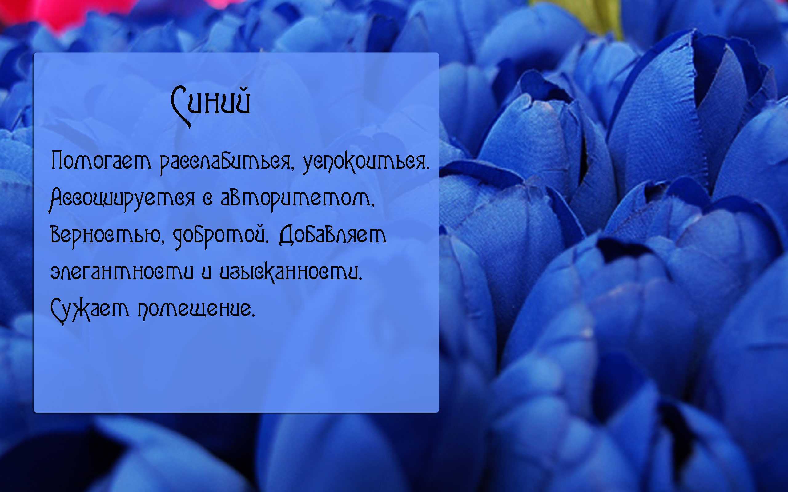 Что означает синие цветы. Iсиний цвет в психологию. Синий цвет в психологии. Цитаты про синий цвет. Цитаты про голубой цвет.