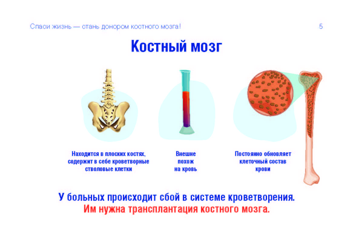 Сколько платят донору костного мозга в россии в 2022 году