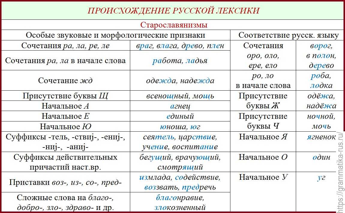 Древнерусские слова и выражения в современном русском языке проект