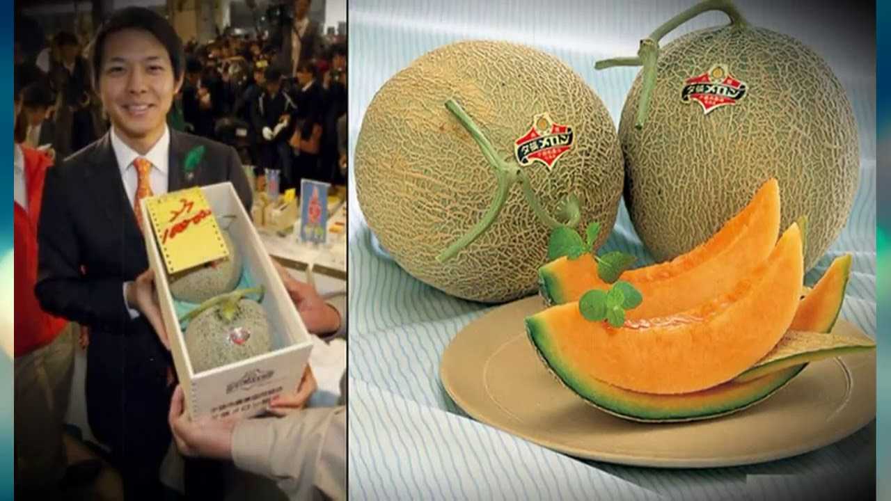 Самые дорогие фрукты в мире. самые дорогие фрукты и овощи в россии. самый дорогой фрукт в мире (фото)