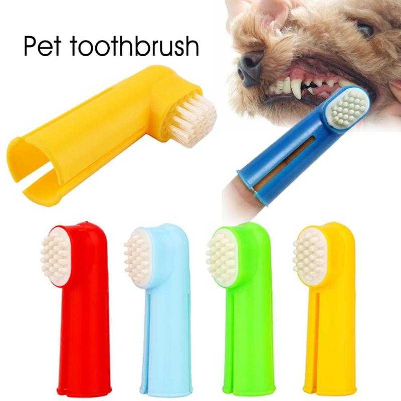 Как и чем правильно чистить зубы собаке?