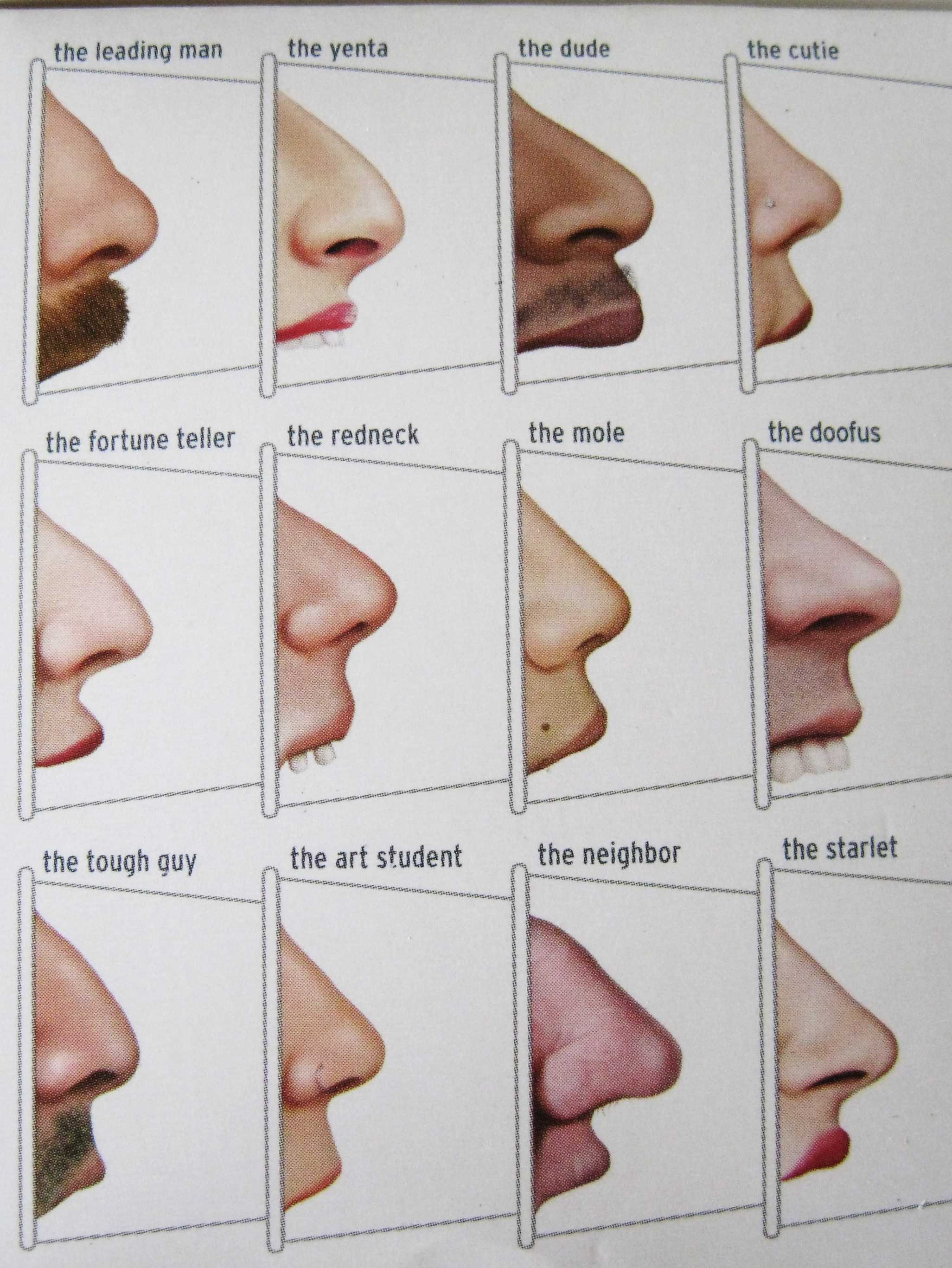 Определяем характер мужчины по форме носа. 16 психологических портретов