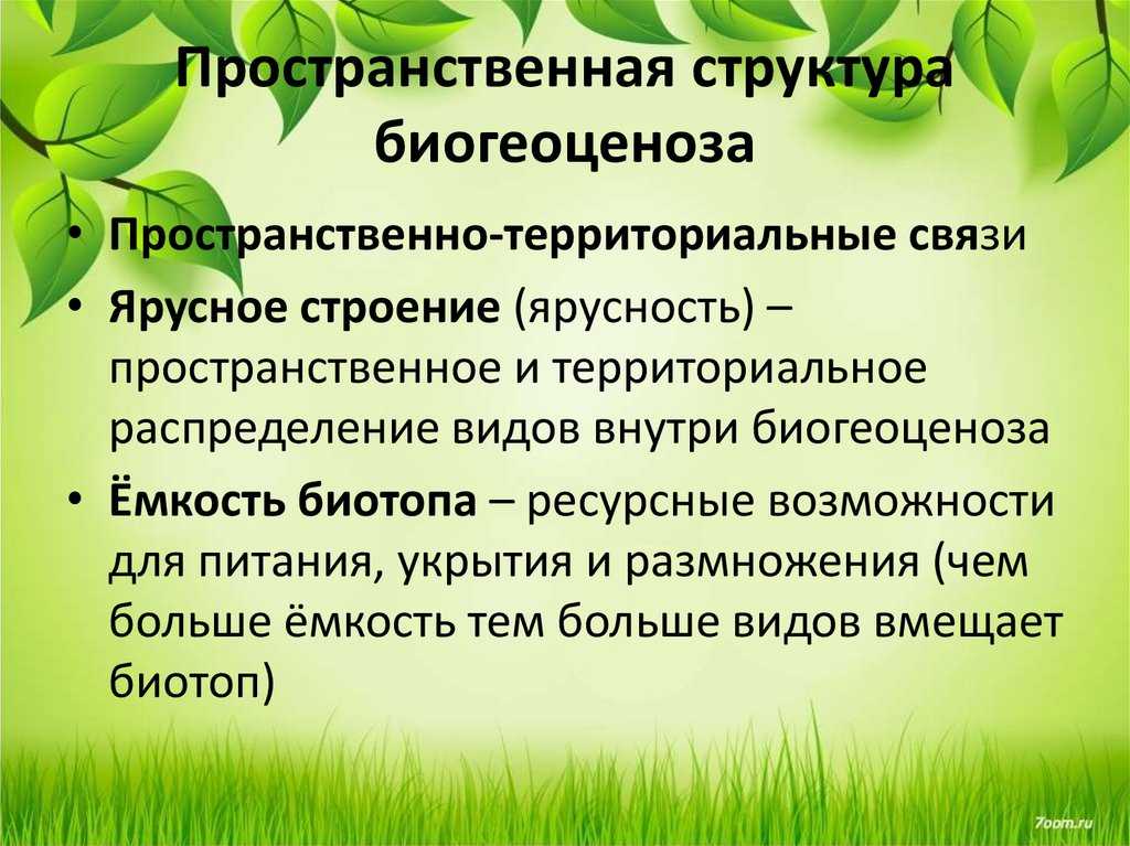 Взаимосвязь компонентов биоценоза и их приспособленность друг к другу презентация