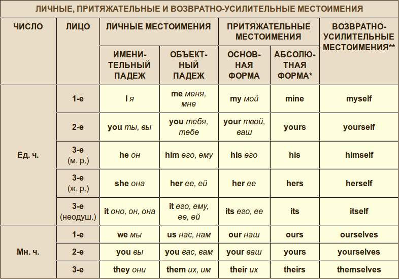 Что такое основа слова в русском языке?