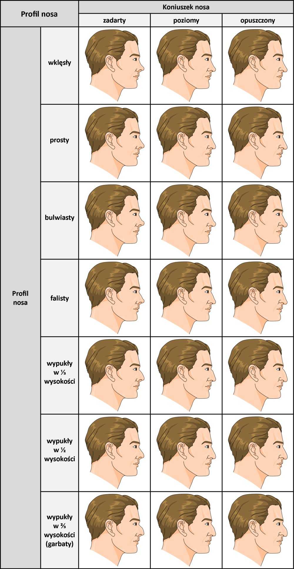 Характер мужчины по форме носа: обзор 7 типажей, описание, факты