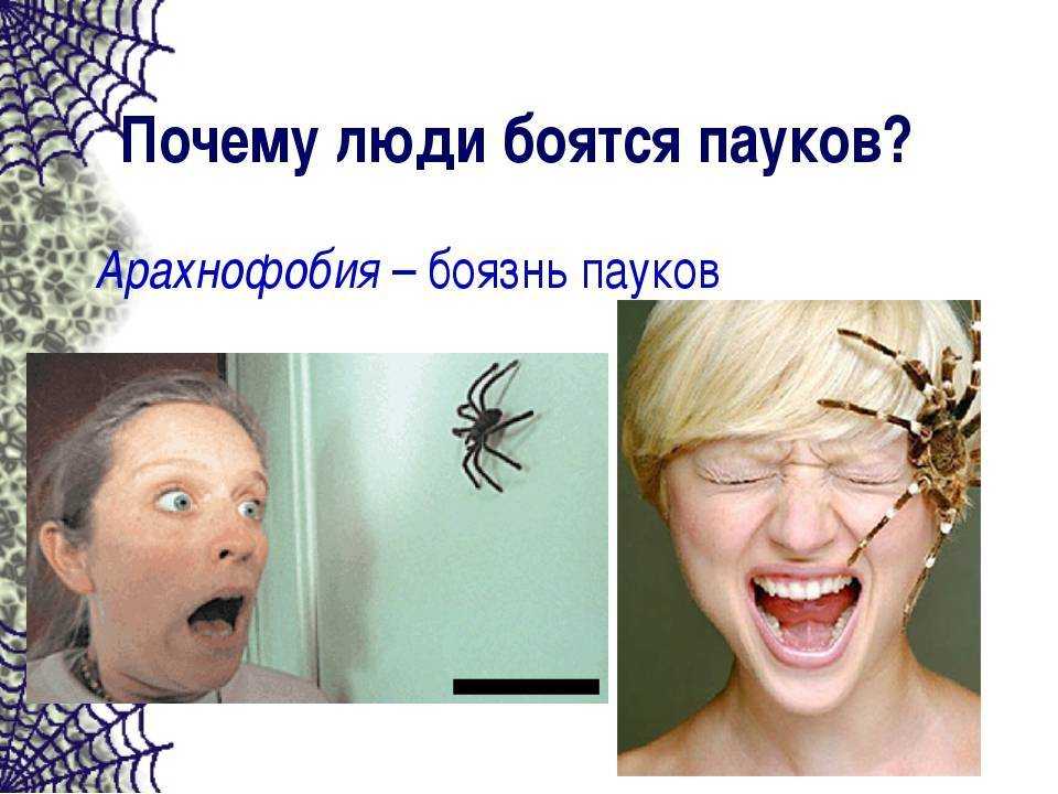Вред боязни. Боязнь насекомых фобия. Арахнофобия это боязнь пауков.