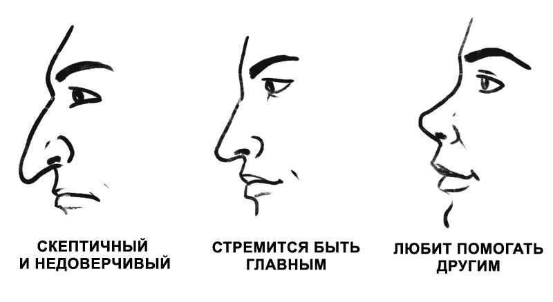 Как выглядит римский и греческий нос: фото, описание характера