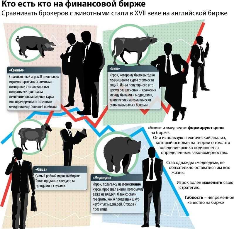 Кто такие быки и медведи на фондовом рынке. как работают быки и медведи на бирже?