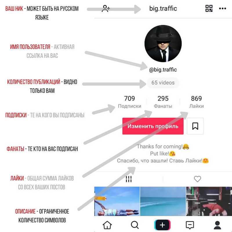 Количество тик ток. Как заработать в тик токе. Тик ток профиль. Рекомендации тик ток. Сколько зарабатывают в тик токе.