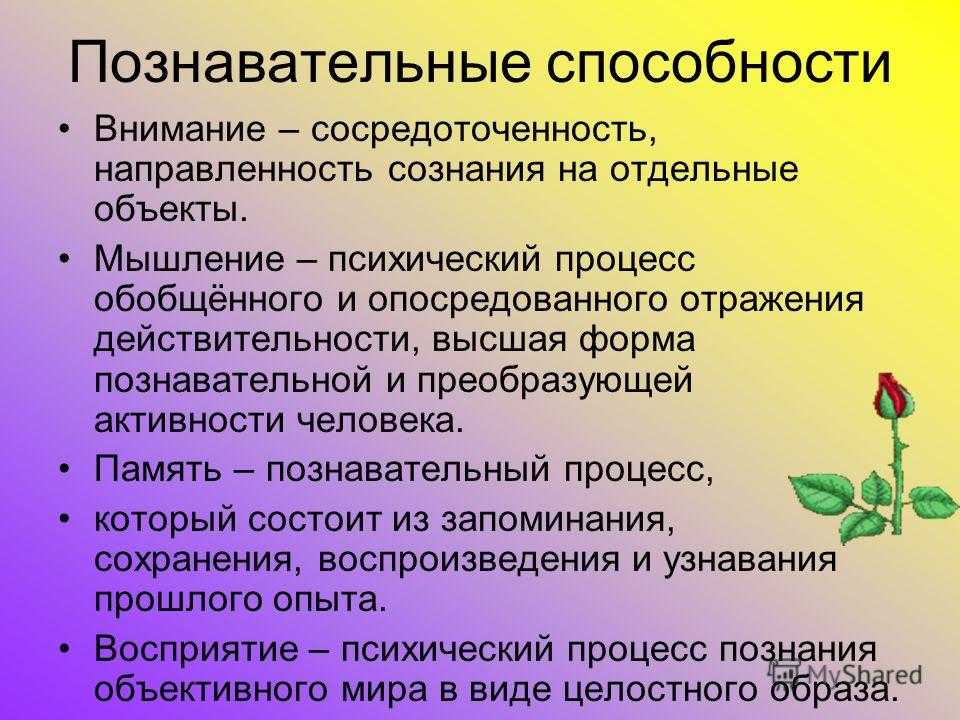 Презентация способности и их развитие